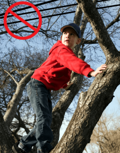 Boy in tree near power lines
