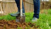 Person digging in yard