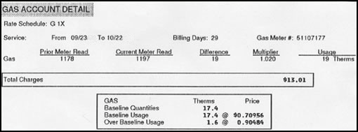 Snapshot of gas bill