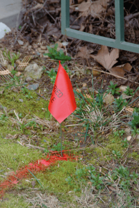 Red locator flag on ground