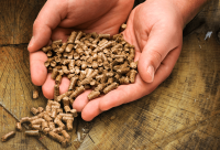 Hands holding wood stove pellets